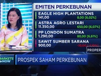 Harga CPO Melejit, Saham Emiten Perkebunan Ikut Naik