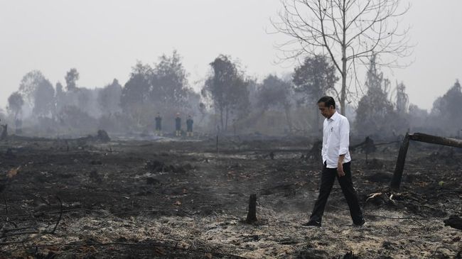 Unduh Gratis Gambar Sajak Sepatu Kotor Fadli Zon Ada Sandiwara Di Balik Karhutla Terupdate oleh Kata Cinta