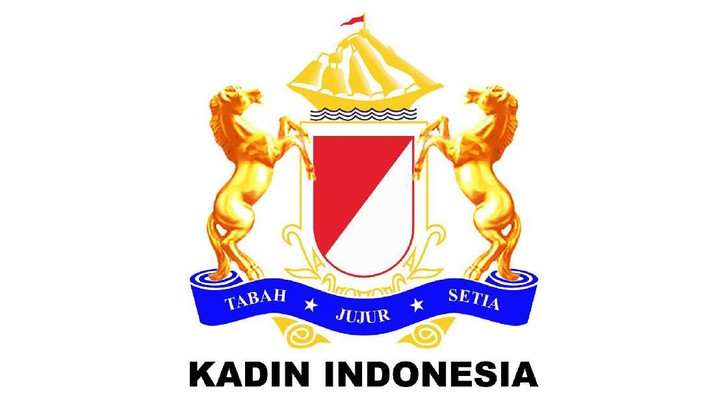 Kadin Logo (dok. Kadin)