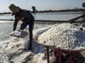 Kemendag Usul Revisi Beleid Agar Garam Jadi Kebutuhan Pokok