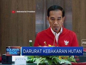 Presiden Jokowi Marah Penanganan Karhutla Lamban