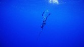 Saat ini Oracabessa Fish Sanctuary memiliki area untuk memancing dan area dilarang memancing. Tujuannya untuk menyeimbangkan populasi ikan. (AP Photo/David Goldman)