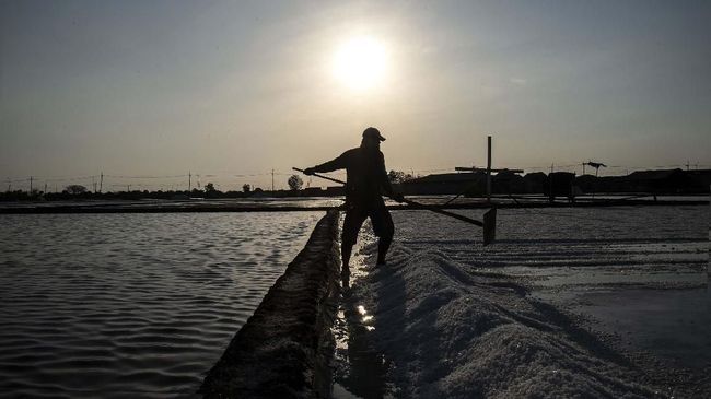 Upah Riil Buruh Tani Turun Jadi Rp38.260 Pada November 2019