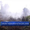 Asap Pekat Ancam Indonesia