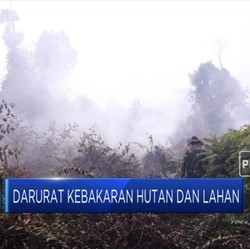 Asap Pekat Ancam Indonesia