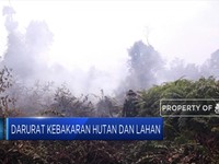 Asap Pekat Ancam Indonesia
