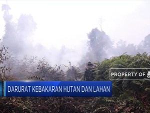 Asap Pekat Ancam Indonesia