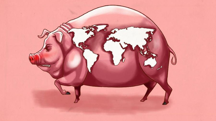 Infografis: Babi Bikin Pusing banyak negara