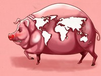 Babi Lagi, Babi Bikin Pening 7 Keliling Negara-negara Ini
