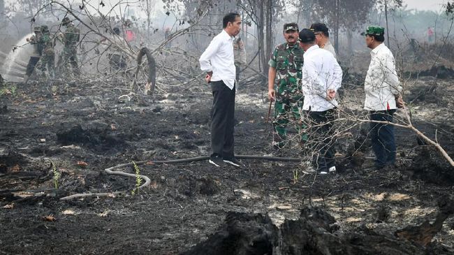 GP Ansor: Layanan Kesehatan Wilayah Karhutla Mesti Prioritas