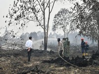 Duh, Lokasi Ibu Kota Baru Tak Ada Jaminan Bebas Bencana Asap