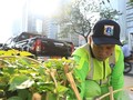 Kisah Wahyudi Merawat Kecantikan Ibu Kota