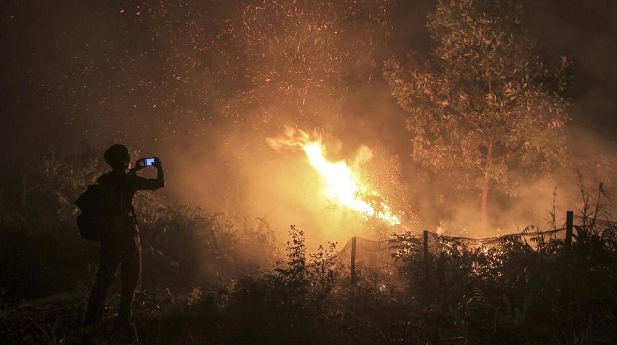 Akibat kebakaran hutan negara tetangga mendapatkan 