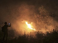 Beringasnya Kebakaran Hutan RI & 