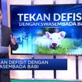Tekan Defisit Negara dengan Cara Swasembada Babi