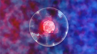 Stem Cell, Terapi Biomedical 'Pengubah' Sel
