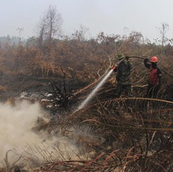 3 Daerah Siaga I Kekeringan, BMKG Ingatkan Bencana Mengintai RI