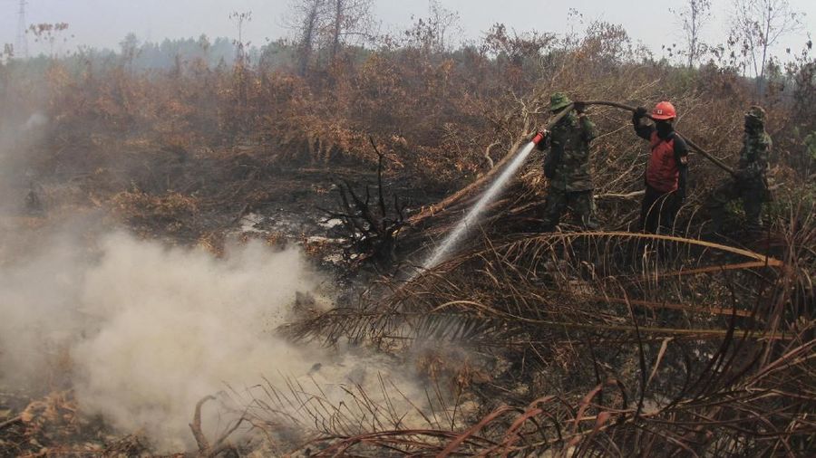 Soldiers and a fire fighter spray water to extinguish forest fire at a peatland field in Kampar, Riau province, Indonesia, Tuesday, Sept. 17, 2019. Indonesian authorities have deployed more personnel and aircraft to battle forest fires that are spreading a thick, noxious haze around Southeast Asia. (AP Photo/Rafka Majjid)