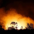 Jadi Sorotan Media Asing, Seberapa Parah Kebakaran Hutan RI?