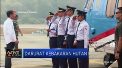 Jokowi Duga Karhutla Dilakukan Secara Terorganisir