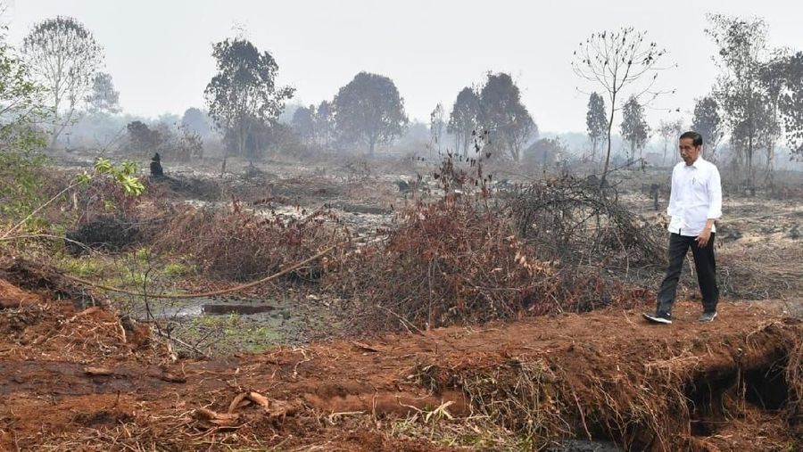Presiden Joko Widodo meninjau lokasi karhutla di Desa Merbau, Kecamatan Bunut, Kabupaten Pelalawan, Kota Pekanbaru, Selasa, (17/9/2019)  (BPMI Setpres/Laily Rachev)