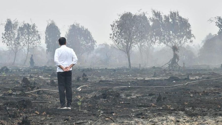 Akibat kebakaran hutan negara tetangga mendapatkan 