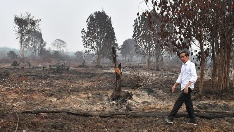Rentetan peristiwa terangkum dalam dokumentasi dari seluruh Indonesia. Berikut adalah dokumentasi kaleidoskop di tahun 2019 pilihan redaksi foto CNBC Indonesia.