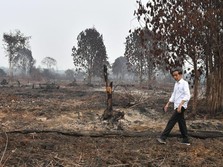 Wajar Jokowi Pelototi Karhutla, Ancamannya Berbahaya!