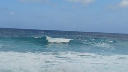 Pencarian Nelayan Hilang di Indramayu Berakhir Duka