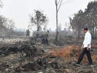 Jokowi: Siapapun Bos Perusahaan yang Bakar Hutan, Hukum!