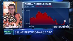 Menakar Geliat Rebound Harga CPO