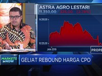 Menakar Geliat Rebound Harga CPO