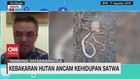 VIDEO: Kebakaran Hutan Ancam Kehidupan Satwa