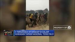 Tersangka Pembakar Hutan Ditangkap