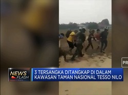 Tersangka Pembakar Hutan Ditangkap
