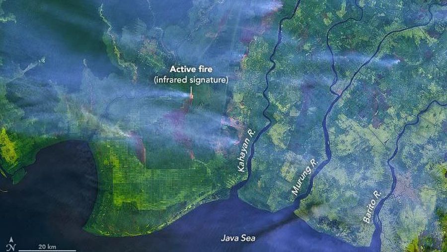 Penampakan kebakaran hutan dan kabut asap di Kalimantan dari satelit NASA.