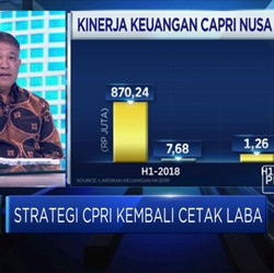 Sempat Merugi, CPRI Optimis Kembali Meraih Laba