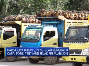 Pascapecah Rekor, Harga CPO Merosot 1,31%