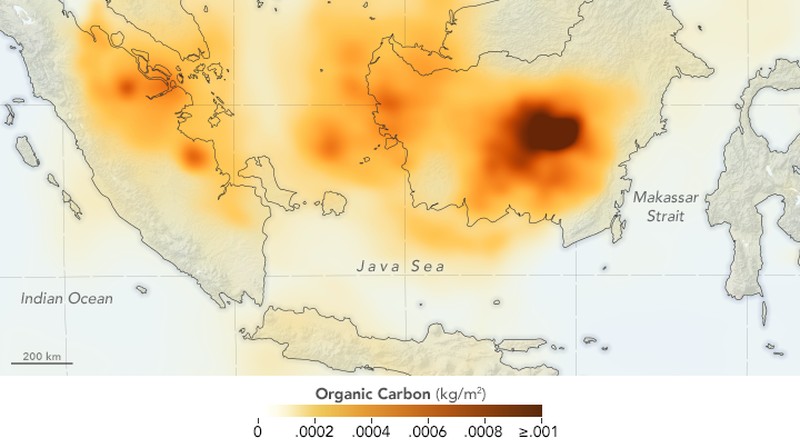Penampakan kebakaran hutan dan kabut asap di Kalimantan dari satelit NASA.