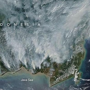 Ini Penampakan Kebakaran Hutan Kalimantan dari Satelit NASA