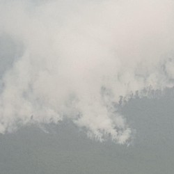 Awas Kebakaran, RI Siap-siap Panas 'Mendidih', IKN Terancam