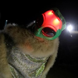 Ilmuwan Ingatkan Bumi Soal Serangan Alien, Manusia Terancam?