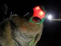 Alien Intip Bumi, Apa Mungkin?