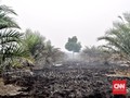 400 Ha Kawasan Konservasi Banyuasin Terbakar, Satwa Terancam