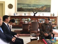 Jokowi Bertemu 'Anak Buah' Xi Jinping, Ada Apa?