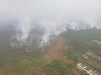 Bencana Asap Bikin Operasional Produsen CPO Terganggu
