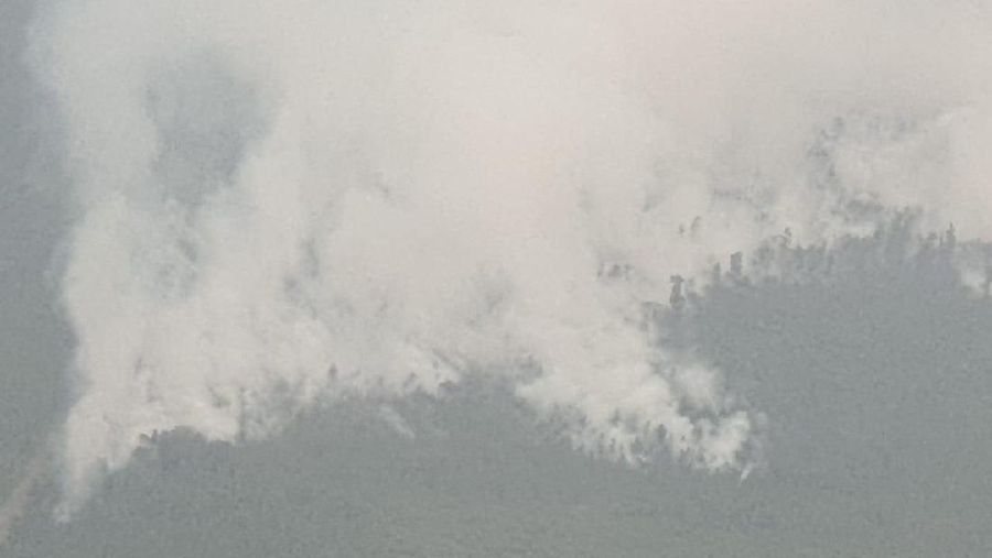 Penanganan Karhutla 20 September 2019 BNPB (dok. BNPB)
