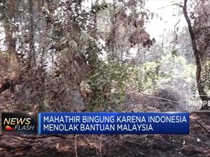 Indonesia Tolak Bantuan Pemadaman Karhutla, Mahathir Bingung
