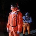 Beneran Nih Alien Intip dari Planet Ini?