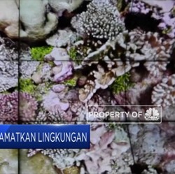 Keren! Teknologi VR untuk Kampanye Keselamatan Lingkungan